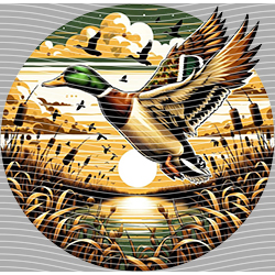 Animal Integration-DW 2422
